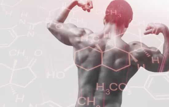 Testosterona: sus beneficios y los riesgos de tener niveles bajos