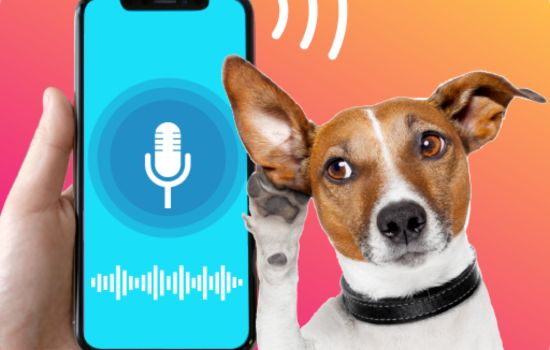 ¿Y si pudieras entender cada ladrido de tu perro?